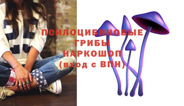 spice Балабаново