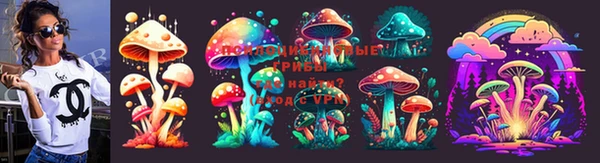 spice Балабаново