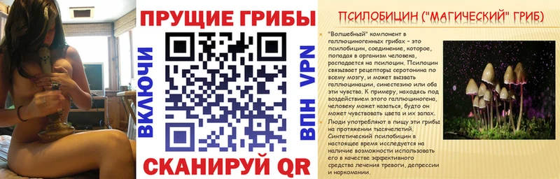 Псилоцибиновые грибы Magic Shrooms  Гремячинск 